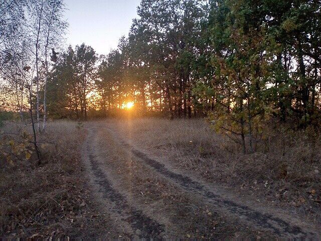 С последней прогулки