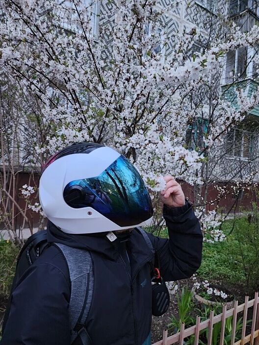 Красота