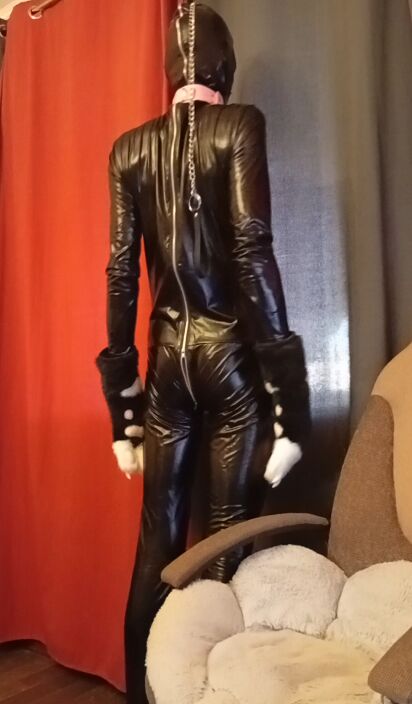 gimp