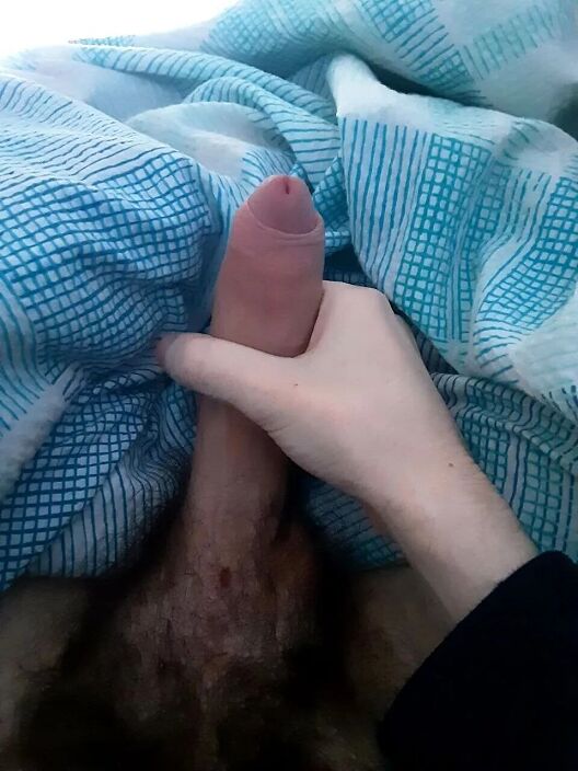 Мой член