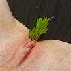 Pussy insertion