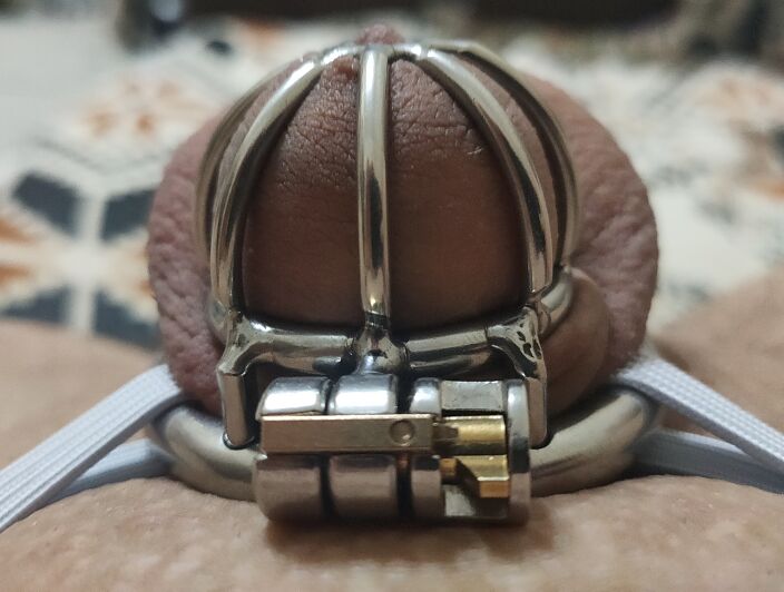 Закрытый членик