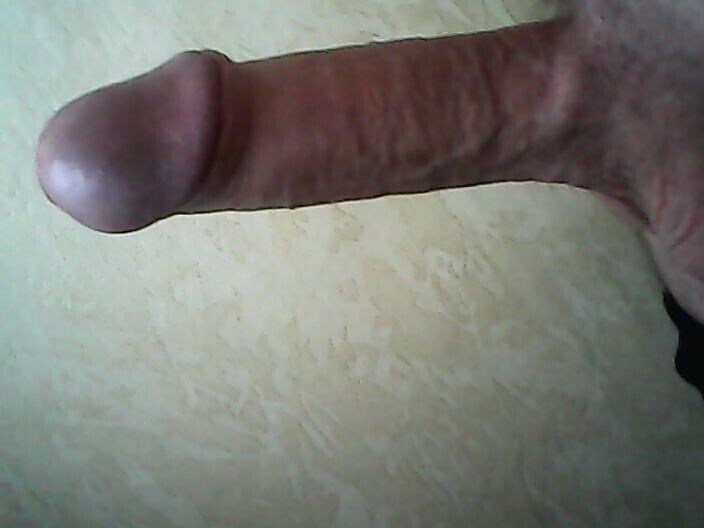 Мой болт