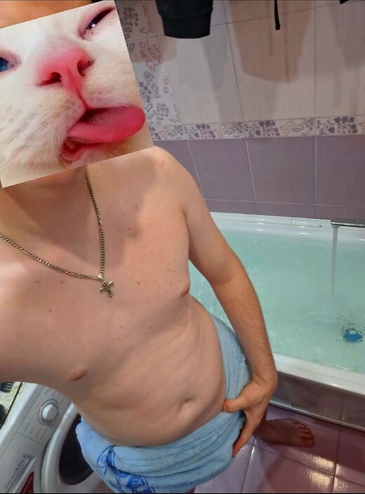 Шалю