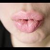 мои рабочие губки