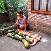 собрала урожайчик