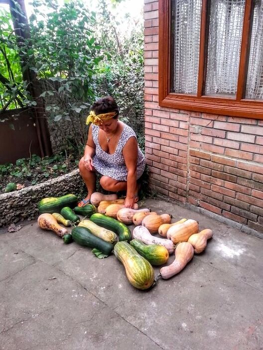 собрала урожайчик