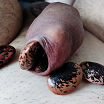 My foreskin fun with bean