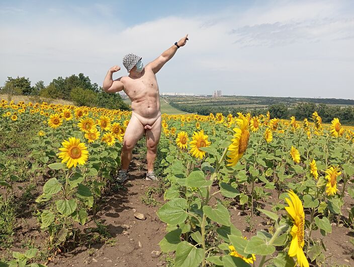 В подсолнухах
