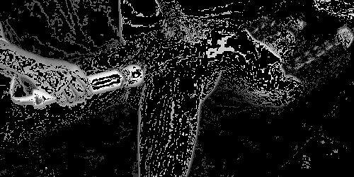 Есть любители секс игр