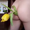 Тюльпан