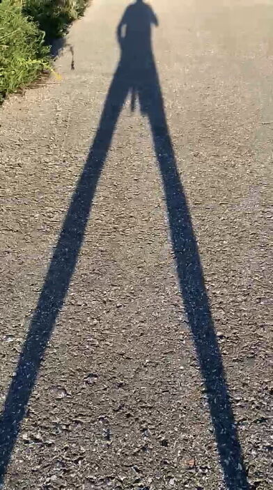 111