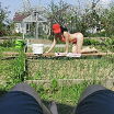 в огороде