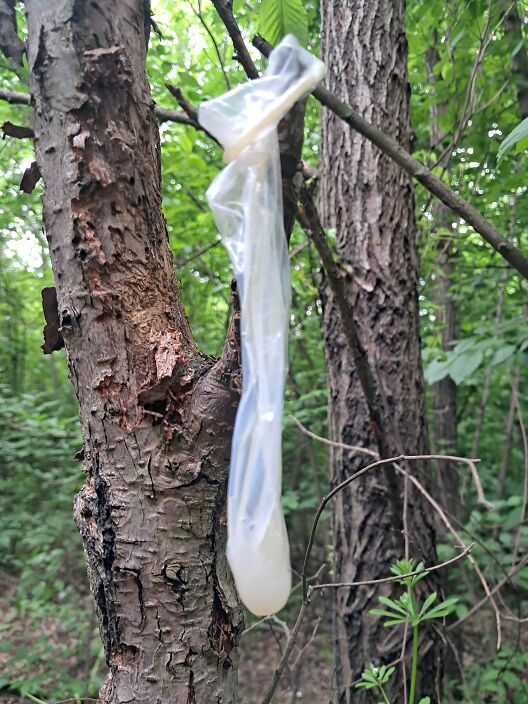 Кто то ,, разгрузился,,
