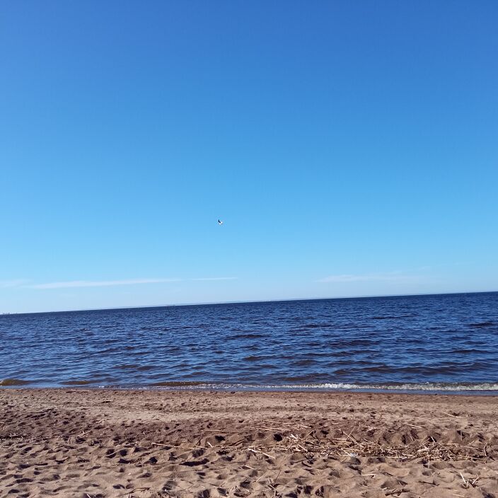 Целая