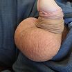 Cock