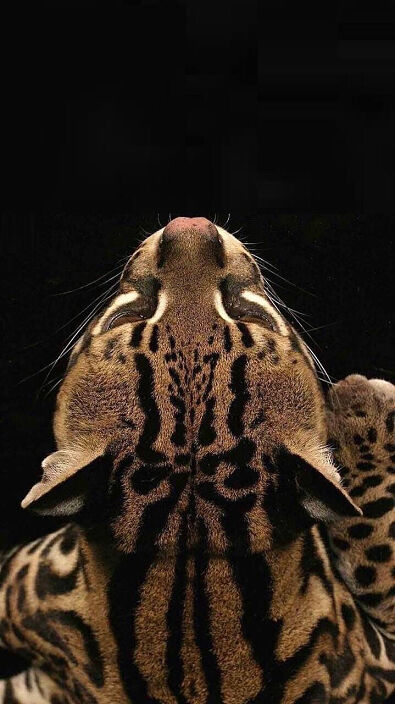 rrrrrr