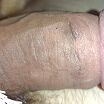 Xxx
