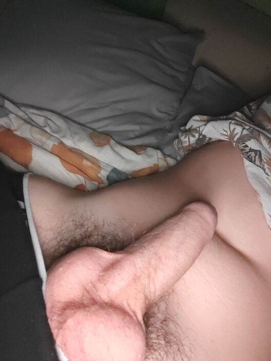 Член