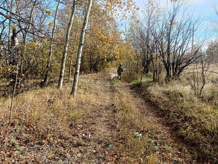 Собачка, ну а хули нет то?