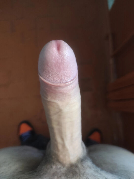 Мой