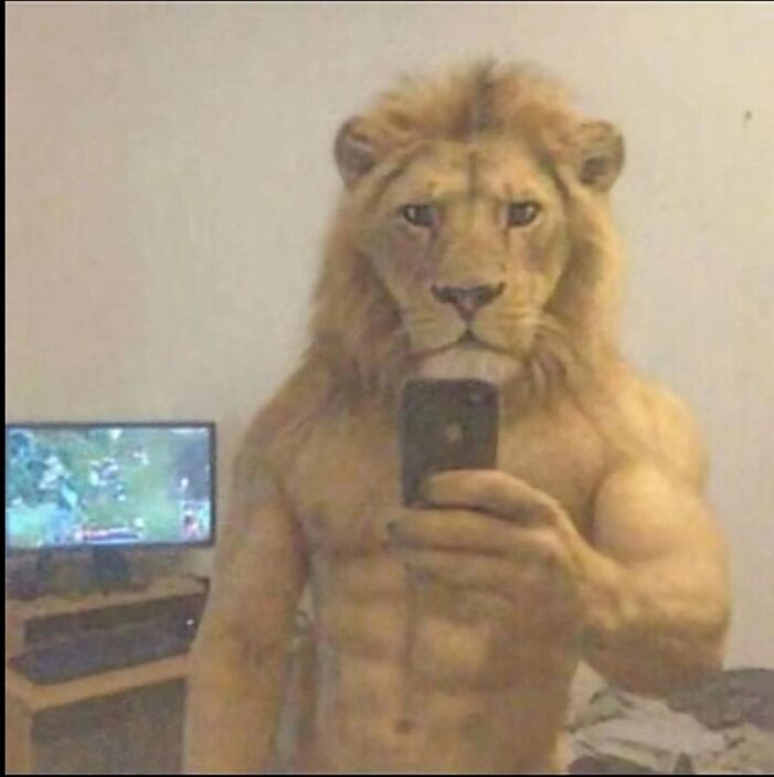 Личные фото