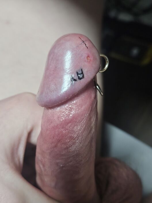 cock close up
