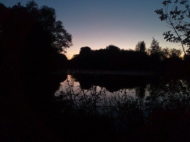 Ну, типа пруд