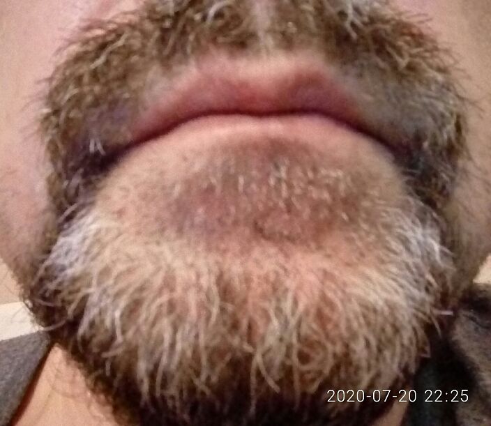 Белый и пушистый