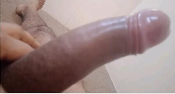 solid cock