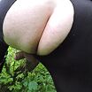 Мачеха любит фотографировать мою жопу