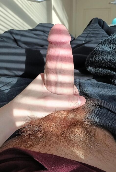 Член