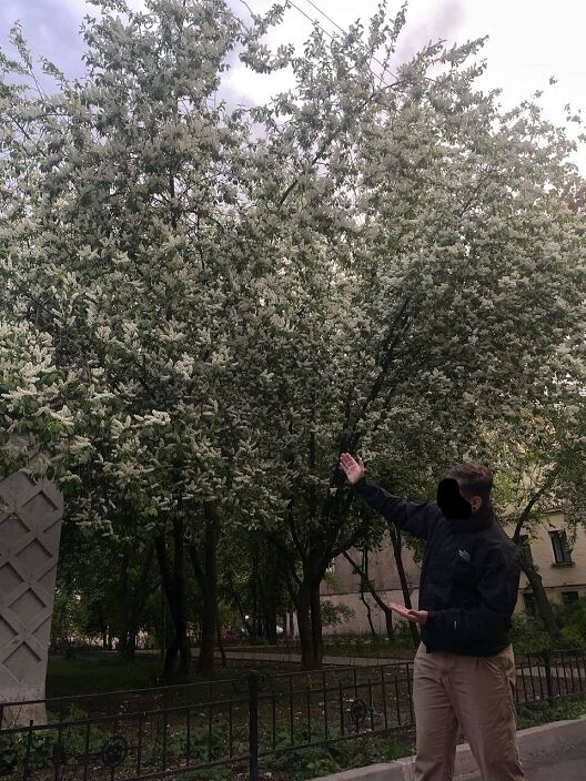 Личные фото