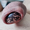My foreskin fun with bean