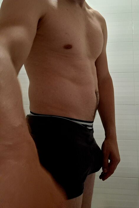 собака Denzels258