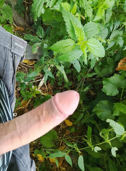 На чеку