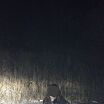 Кто засадит??? Пишите мне жду