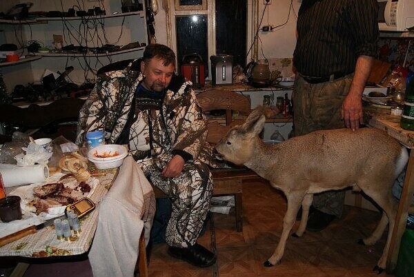 найденыш