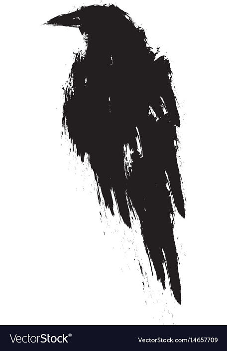 black raven