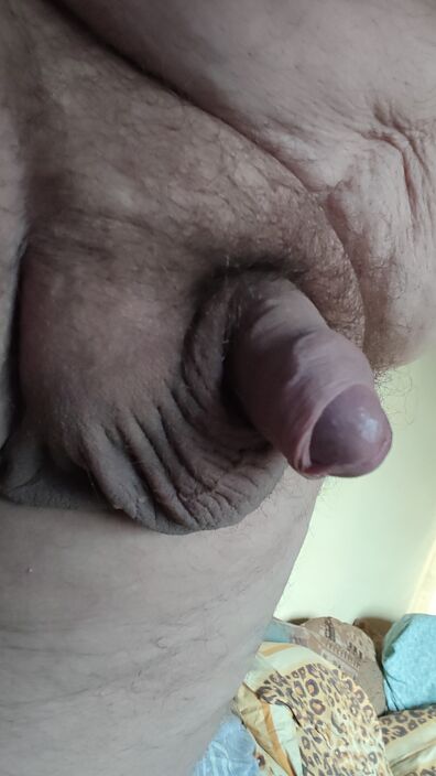 Член