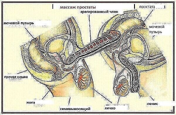 Полезно и приятно