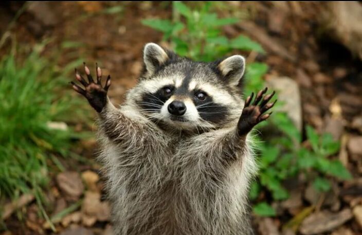 Люблю обнимашки