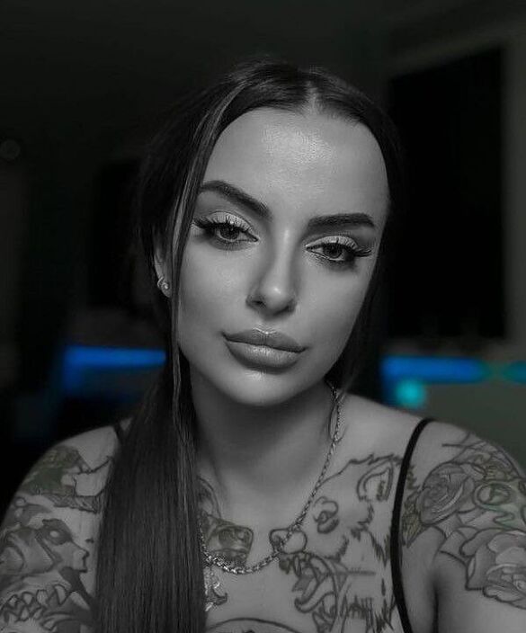Губки