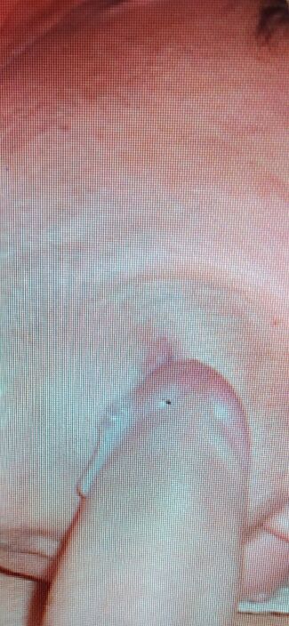 Сперма в  рот