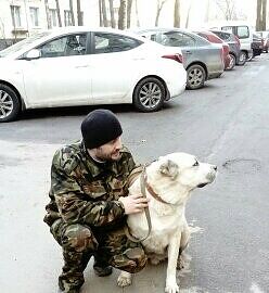 С собакевичем на прогулке