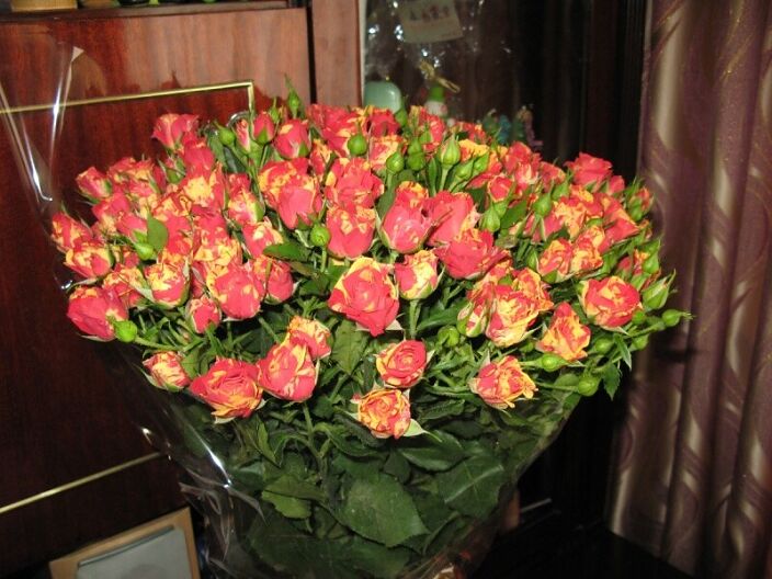 Личные фото