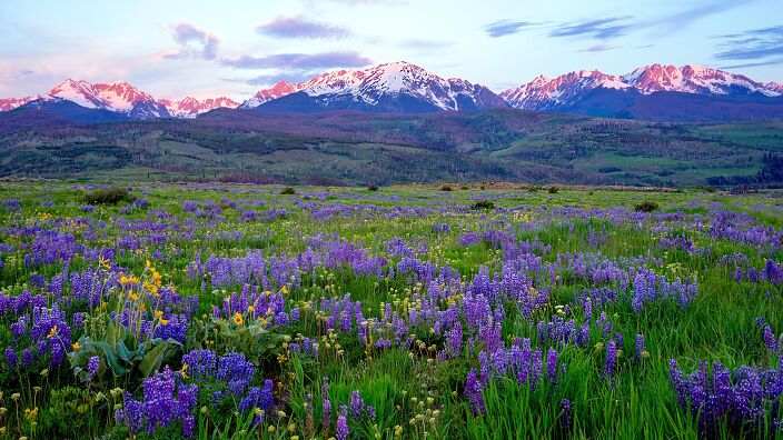 Личные фото