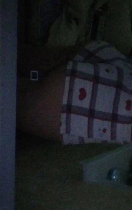 оцените персик