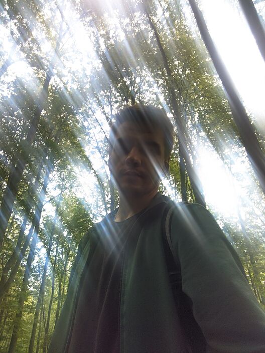 Я и лес