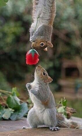 Личные фото